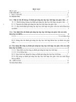 Xây dựng tiêu chí, bộ công cụ đánh giá nâng lực dạy học tích hợp khoa học tự nhỉên thông qua vận đụng dạy học theo dự án hướng tích hợp khoa học tự nhiên của giáo viên trung học cơ sở 