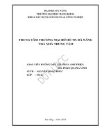 Trung tâm thương mại bờ hồ, thành phố đà nẵng tòa nhà trung tâm (đồ án tốt nghiệp xây dựng dân dụng và công nghiệp) 