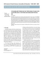 Thử nghiệm một số biện pháp phát triển kĩ năng sử dụng sơ đồ cho trẻ mẫu giáo 5-6 tuổi trong hoạt động khám phá khoa học