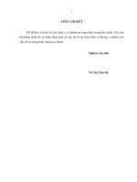 Tài sản thương hiệu dựa trên khách hàng nghiên cứu trường hợp điển hình về thương hiệu làng nghề gốm truyền thống tại các tỉnh phía bắc, việt nam 