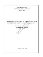 Nghiên cứu ảnh hưởng của enzyme đến chất lượng bánh mì làm từ bột nhào lạnh đông 