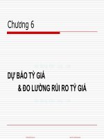 Slide môn quản trị tài chính quốc tế: Chương 6: Dự báo tỉ giá và đo lường rủi ro tỉ giá