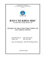 (Đề tài nghiên cứu khoa học) Tìm hiểu kỹ thuật phát hiện thông tin giấu trên ảnh GIF