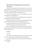 chủ đề STEM sử dụng phân bón hoá học trồng rau thuỷ canh