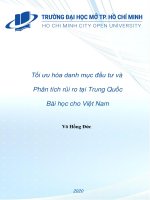 Tối ưu hóa danh mục đầu tư  phân tích rủi ro tại trung quốc bài học cho việt nam 