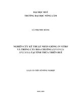 (Luận án tiến sĩ) Nghiên cứu kỹ thuật nhân giống in vitro cây hoa chuông (sinningia speciosa) tại tỉnh Thừa Thiên Huế