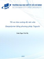 Tối ưu hóa cường độ nén vữa geopolymer bằng phương pháp taguchi 