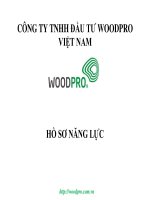 CÔNG TY TNHH ĐẦU TƯ WOODPRO VIỆT NAM. HỒ SƠ NĂNG LỰC