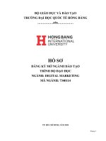 TRƯỜNG ĐẠI HỌC QUỐC TẾ HỒNG BÀNG - HỒ SƠ ĐĂNG KÝ MỞ NGÀNH ĐÀO TẠO TRÌNH ĐỘ ĐẠI HỌC NGÀNH: DIGITAL MARKETING