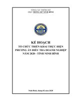 KẾ HOẠCH TỔ CHỨC TRIỂN KHAI THỰC HIỆN PHƯƠNG ÁN ĐIỀU TRA DOANH NGHIỆP NĂM 2020 - TỈNH NINH BÌNH