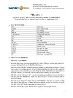 PHỤ LỤC 1: Nguyên tắc áp dụng - Biểu phí dịch vụ Khách hàng cá nhân tại BAOVIET Bank