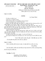 Đề thi chọn học sinh giỏi môn Ngữ văn lớp 12 lần 2 năm học 2012-2013 – Sở Giáo dục và Đào tạo Ninh Bình (Đề chính thức)
