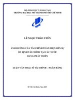 ảnh hưởng của tài chính toàn diện đến sự ổn định tài chính tại các nước đang phát triển 