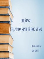 NHẬP MÔN KINH TẾ HỌC VĨ MÔ. Bộ môn Kinh tế học. Khoa Kinh Tế