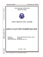 Giải pháp nâng cao chất lượng dịch vụ du lịch dành cho khách nội địa tại công ty TNHH cat tour việt nam 