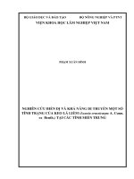 NGHIÊN CỨU BIẾN DỊ VÀ KHẢ NĂNG DI TRUYỀN MỘT SỐ TÍNH TRẠNG CỦA KEO LÁ LIỀM (Acacia crassicarpa A. Cunn. ex Benth.) TẠI CÁC TỈNH MIỀN TRUNG
