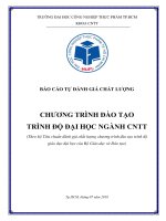 BÁO CÁO TỰ ĐÁNH GIÁ CHẤT LƯỢNG CHƯƠNG TRÌNH ĐÀO TẠO TRÌNH ĐỘ ĐẠI HỌC NGÀNH CNTT