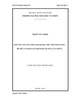Chế tạo các hạt nano zns mn bọc phủ chất hoạt hóa bề mặt và khảo sát phổ quát quang của chúng  luận văn ths  vật lý  60 44 11 
