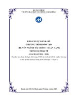 TRƯỜNG ĐẠI HỌC TÀI CHÍNH-MARKETING BÁO CÁO TỰ ĐÁNH GIÁ CHƯƠNG TRÌNH ĐÀO TẠO CHUYÊN NGÀNH TÀI CHÍNH – NGÂN HÀNG TRÌNH ĐỘ THẠC SĨ