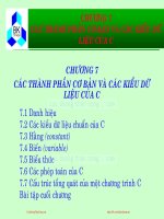Bài giảng Hệ thống máy tính và ngôn ngữ C: Chương 7 - PGS.TS. Đặng Thành Tín