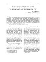 Nghiên cứu quá trình hấp phụ ion Pb2+ trong môi trường nước của diatomite tự nhiên và diatomite biến tính từ diatomite Phú Yên