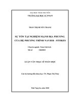 Sự tồn tại nghiệm mạnh địa phương của hệ phương trình navier stokes