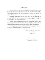 Nghiên cứu sự biến động hàm lượng kim loại nặng trong trầm tích sông hồng đoạn chảy qua tỉnh lào cai 