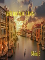 Các trường phái triết học  chân dung một số nhà triết học tiêu biểu 