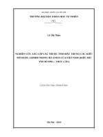 Nghiên cứu xác lập các thuộc tính đặc trưng các kiểu mỏ ruby, saphir trong đá gneis của việt nam (kiểu mỏ tân hương trúc lâu) 
