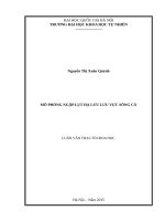 Mô phỏng ngập lụt hạ lưu lưu vực sông cả   