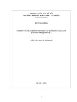 Nghiên cứu thành phần hóa học vỏ quả măng cụt xanh 