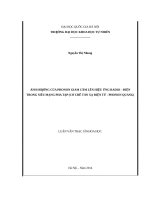 Ảnh hưởng của phonon giam cầm lên hiệu ứng radio   điện trong siêu mạng pha tạp (cơ chế tán xạ điện tử   phonon quang) 