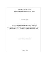 Nghiên cứu thành phần loài mối (insecta isoptera) và đề xuất biện pháp phòng trừ loài gây hại chính cho di tích cố đô huế, tỉnh thừa thiên huế   03 