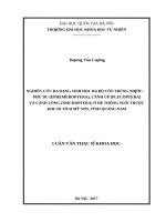 Nghiên cứu đa dạng sinh học ba bộ côn trùng nước phù du (ephemeroptera), cánh úp (plecoptera), cánh lông (trichoptera) ở hệ thống suối thuộc khu di tích mỹ sơn, tỉnh quảng nam 
