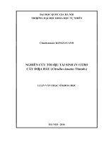 Nghiên cứu tối ưu tái sinh in vitro cây dưa hấu (citrullus lanatus thumb )   14 