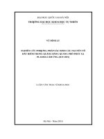 Nghiên cứu phương pháp xác định các nguyên tố đất hiếm trong quặng bằng quang phổ phát xạ plasma cảm ứng (ICP OES)   
