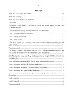 Phân tích thực trạng hoạt động marketing online  tại công ty TNHH một thành viên ula house spa 