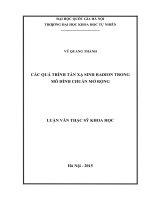 Các quá trình tán xạ sinh radion trong mô hình chuẩn mở rộng   03 