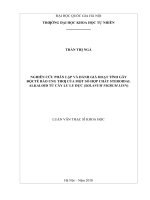 Nghiên cứu phân lập và đánh giá hoạt tính gây độc tế bào ung thư của một số hợp chất steroidal alkaloid từ cây lu lu đực (solanum nigrum linn)    