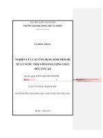 Nghiên cứu các ứng dụng sinh thái để xử lý nước thải với hàm lượng chất hữu cơ cao 