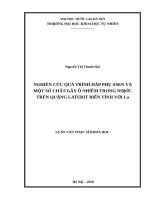 Nghiên cứu quá trình hấp phụ asen và một số chất ô nhiễm trong nước trên quặng laterit biến tính với la 