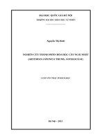Nghiên cứu thành phần hóa học cây ngải nhật (artemisia japonica thunb , asteraceae) 