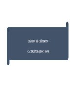 giáo dục thể chất trong các trường đại học   hvnh 