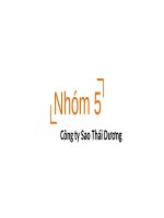 phương án chiến lược công ty cổ phần sao thái dương 