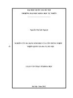 Nghiên cứu đa dạng sinh học của côn trùng nước ở vườn quốc gia ba vì, hà nội   