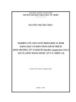 Nghiên cứu sản xuất phân bón vi sinh dạng hạt có khả năng kích thích sinh trưởng từ vi khuẩn bacillus megaterium VACC 118 và chất mang được xử lý chiếu xạ 