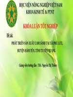 phát triển sản xuất cam sành tại xã phù lưu, huyện hàm yên, tỉnh tuyên quang 