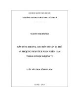 Gần đúng eikonal cho biên độ tán xạ thế và phương pháp tích phân phiếm hàm trong cơ học lượng tử   