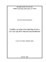 Nghiên cứu khả năng hấp phụ sunfua của vật liệu bùn thải chứa sắt (III) hydroxit 