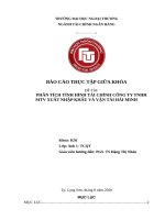 phân tích tình hình tài chính công ty tnhh mtv xuất nhập khẩu và vận tải hải minh 